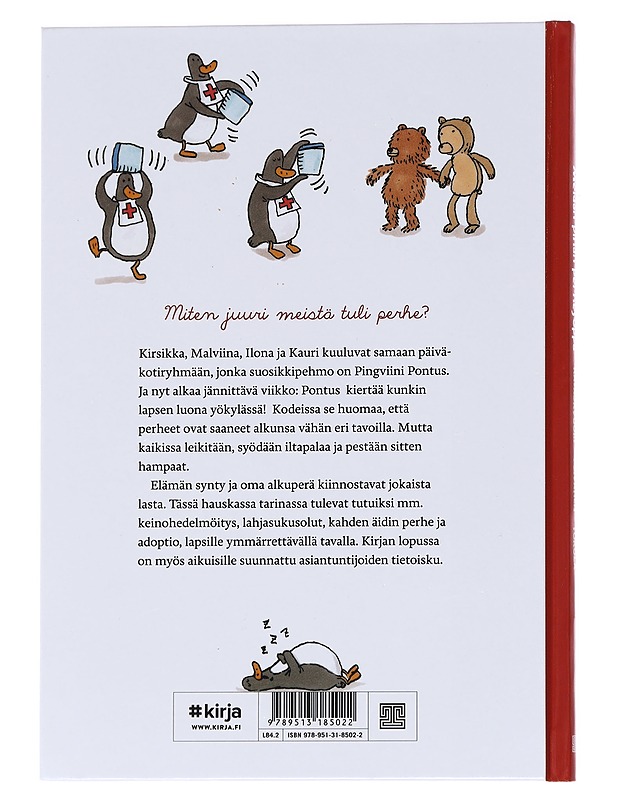 Meidän pihan perhesoppa - Katajavuori, Riina - Lastenkirjat - 10105626742 - 1