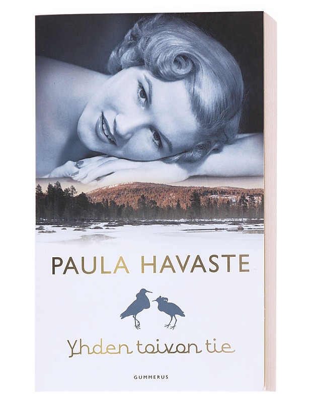 Yhden toivon tie - Paula Havaste - Romaanit ja novellit - 10105626909 - 0