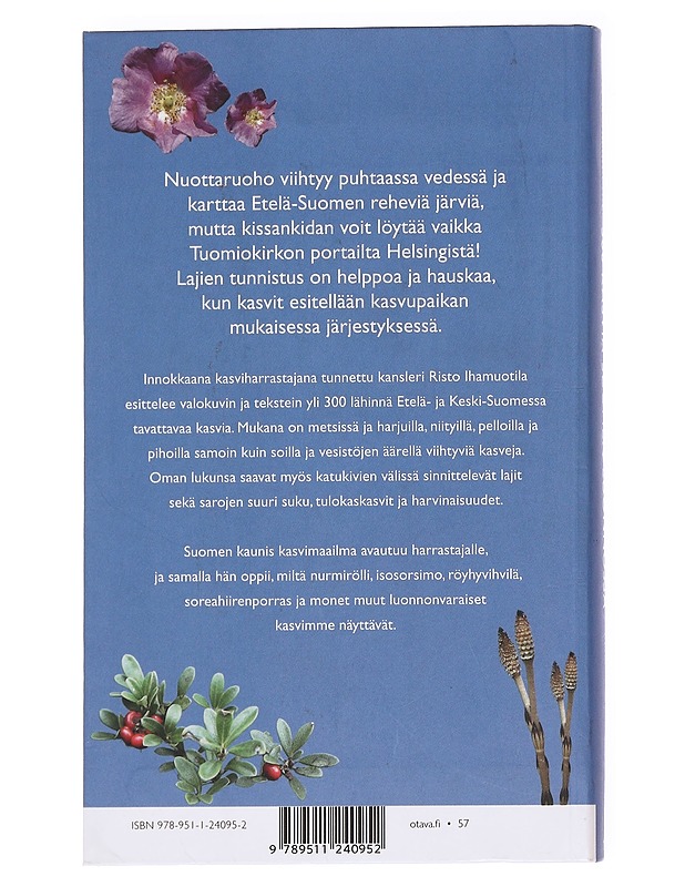300 kasvia Suomen luonnossa - Risto Ihamuotila - Tietokirjat ja oppaat - 10105627028 - 1