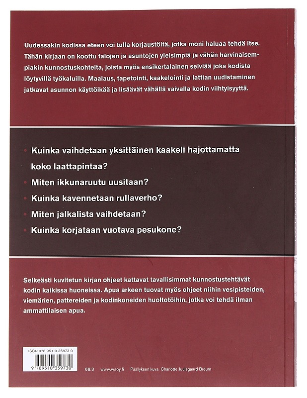 Kodin kunnostustyöt - Boile, Erik - Tietokirjat ja oppaat - 10105627179 - 1