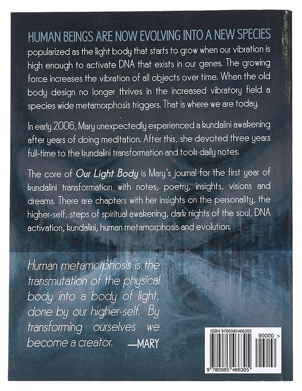 Our Light Body : A Kundalini Awakening Testimonial - Mary E. Rabyor (Mary Elizabeth Rabyor) - Tietokirjat ja oppaat - 10105628027 - 1