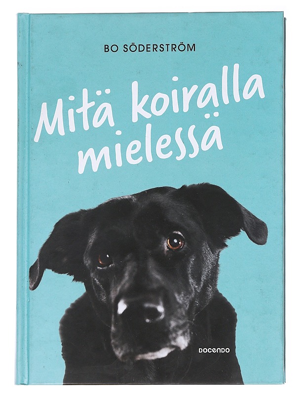 Mitä koiralla mielessä - Söderström, Bo - Tietokirjat ja oppaat - 10105628107 - 0