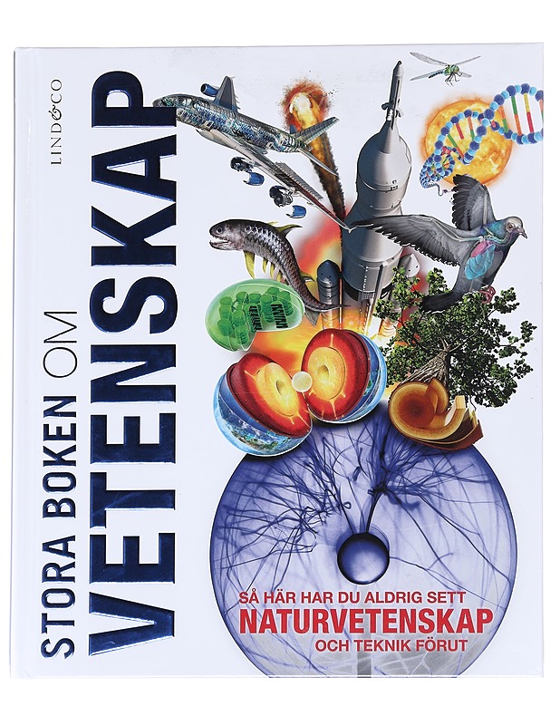 Stora boken om vetenskap - Beall, Abigail - Lastenkirjat - 10105628266 - 0
