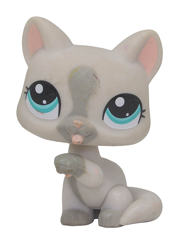 LITTLEST PET SHOP Tassua nuoleva kissa, N:o G2-1472 - Lasten figuurit - 10105629610 - 0