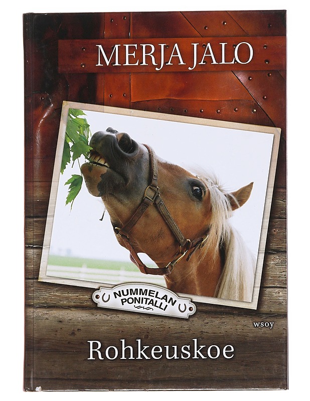 Rohkeuskoe - Merja Jalo - Nuorten kirjat - 10105629895 - 0