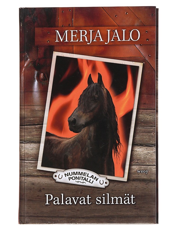 Palavat silmät - Merja Jalo - Nuorten kirjat - 10105629914 - 0
