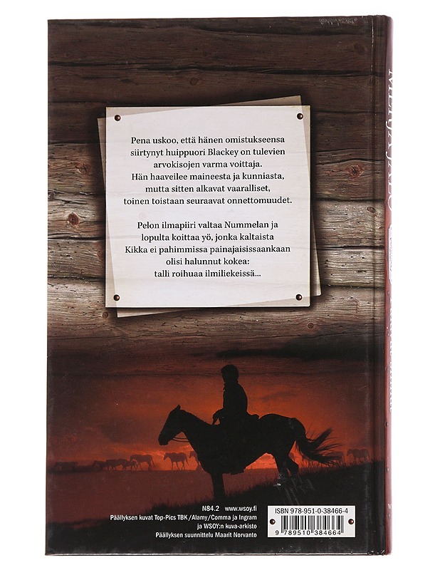Palavat silmät - Merja Jalo - Nuorten kirjat - 10105629914 - 1