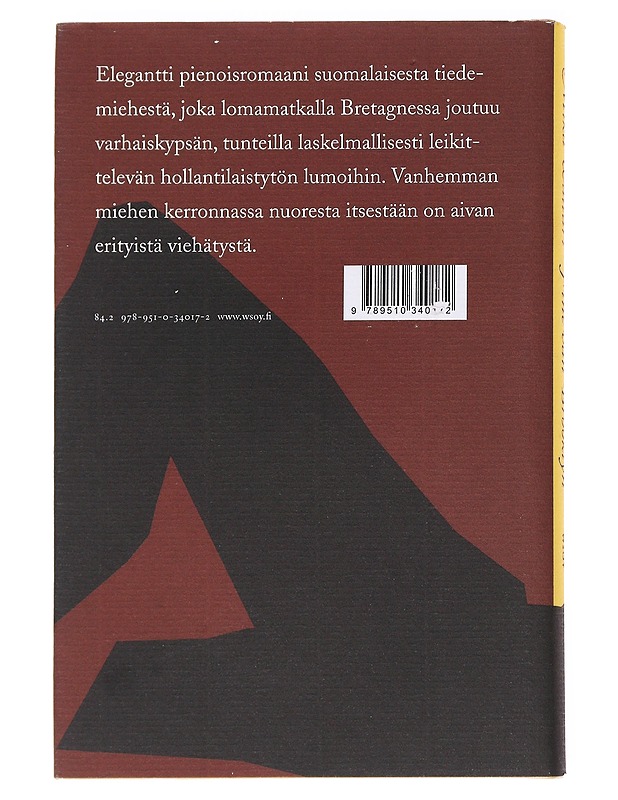 Fine van Brooklyn - Mika Waltari - Romaanit ja novellit - 10105629944 - 1