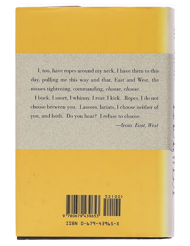 East, west - Saman Rushdie - Romaanit ja novellit - 10105629963 - 1
