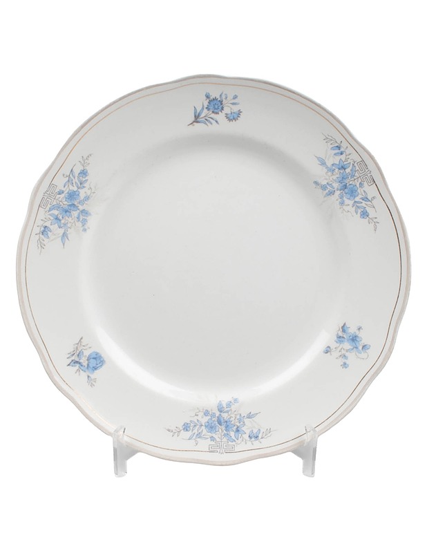 ARABIA Karin ruokalautanen - Designsuosikit - 10105630147 - 0