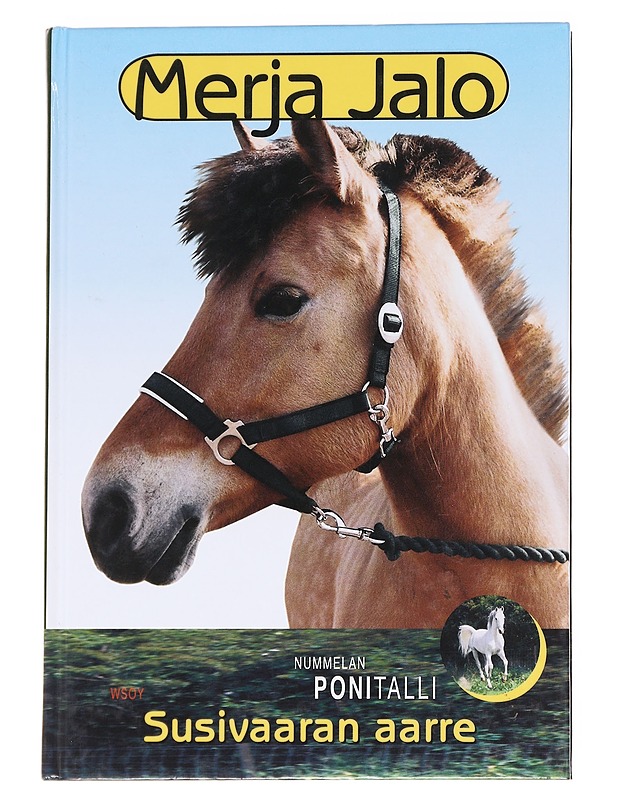 Susivaaran aarre - Merja Jalo - Kaunokirjallisuus - 10105630179 - 0