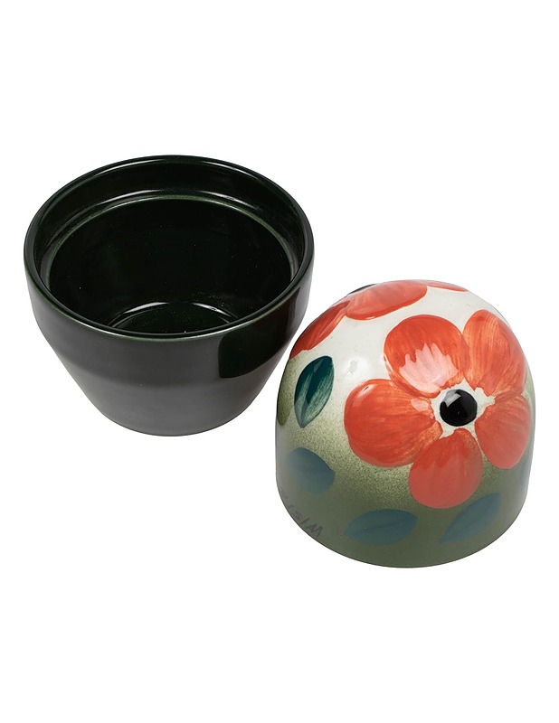 ARABIA Ikikukka St. Paulia rasia - Designsuosikit - 10105630916 - 0