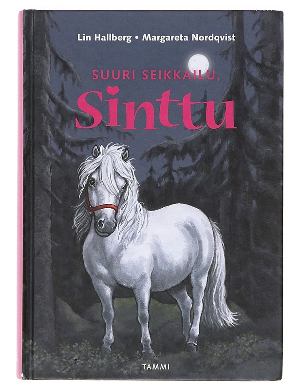 Suuri seikkailu, Sinttu - Hallberg, Lin - Lastenkirjat - 10105631049 - 0