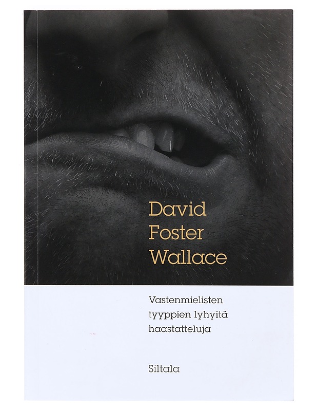 Vastenmielisten tyyppien lyhyitä haastatteluja - Wallace, David Foster - Romaanit ja novellit - 10105632714 - 0