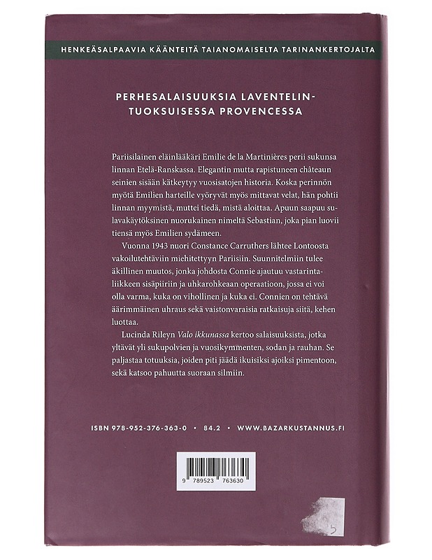 Valo ikkunassa - Riley, Lucinda - Romaanit ja novellit - 10105633088 - 1