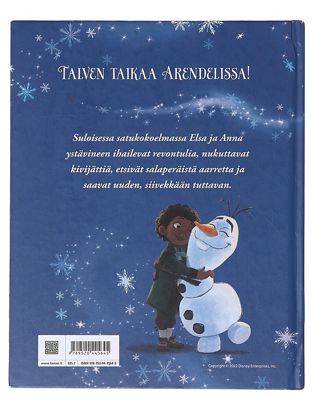 Sydäntalven tarinoita - Cambi, Valentina - Lastenkirjat - 10105633170 - 1