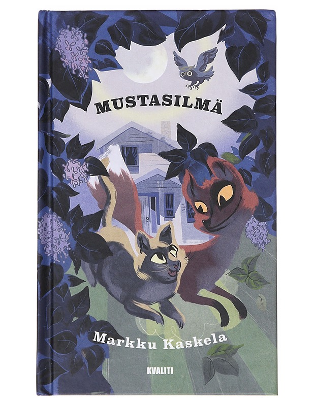 Mustasilmä / lasten saturomaani - Kaskela, Markku - Lastenkirjat - 10105633764 - 0
