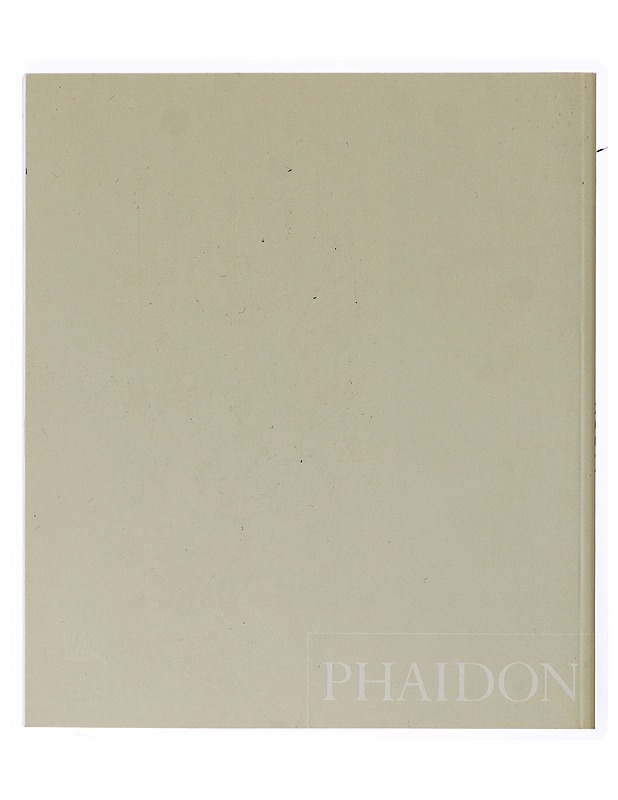 Aaron Siskind - James Rhem - Historiakirjat - 10105633969 - 1