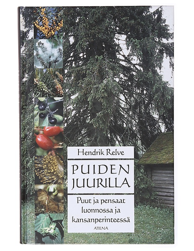 Puiden juurilla / Puut ja pensaat luonnossa ja kansanperinteessä - Hendrik Relve - Tietokirjat - 10105633978 - 0