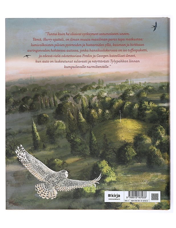 Harry Potter ja salaisuuksien kammio - Rowling, J. K. - Romaanit ja novellit - 10105634126 - 1