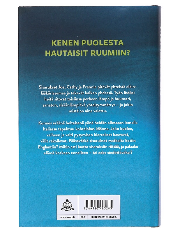 Sinä yönä - McAllister, Gillian - Romaanit ja novellit - 10105634141 - 1