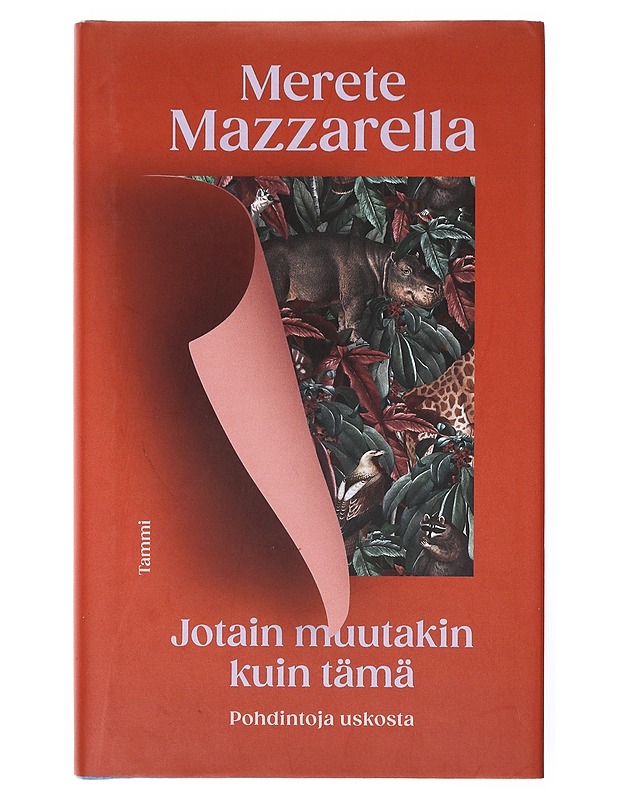 Jotain muutakin kuin tämä - Mazzarella, Merete - Romaanit ja novellit - 10105634146 - 0