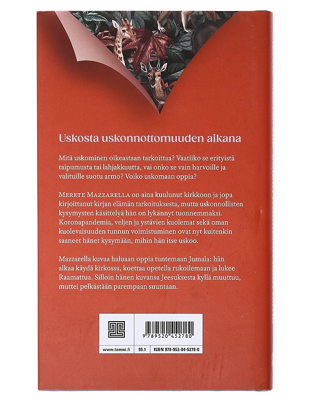 Jotain muutakin kuin tämä - Mazzarella, Merete - Romaanit ja novellit - 10105634146 - 1