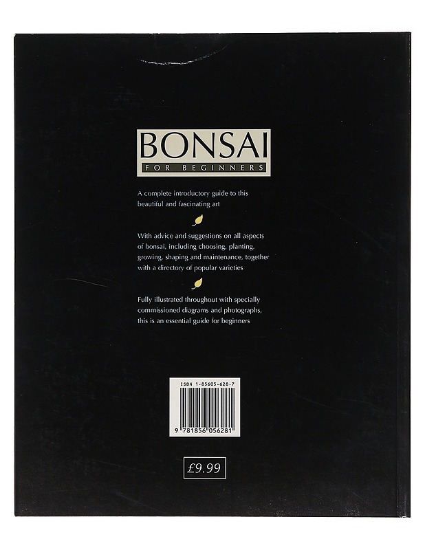 Bonsai for beginners - Craig Coussins - Tietokirjat ja oppaat - 10105634577 - 1