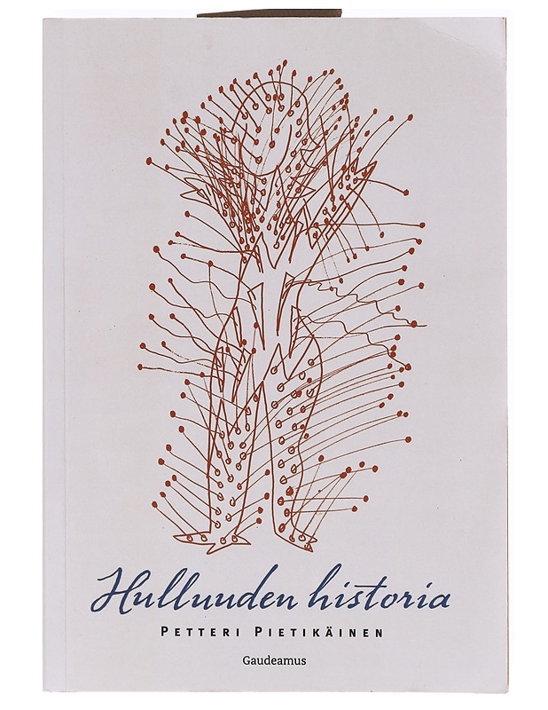 Hulluuden historia - Petteri Pietikäinen - Historiakirjat - 10105634617 - 0