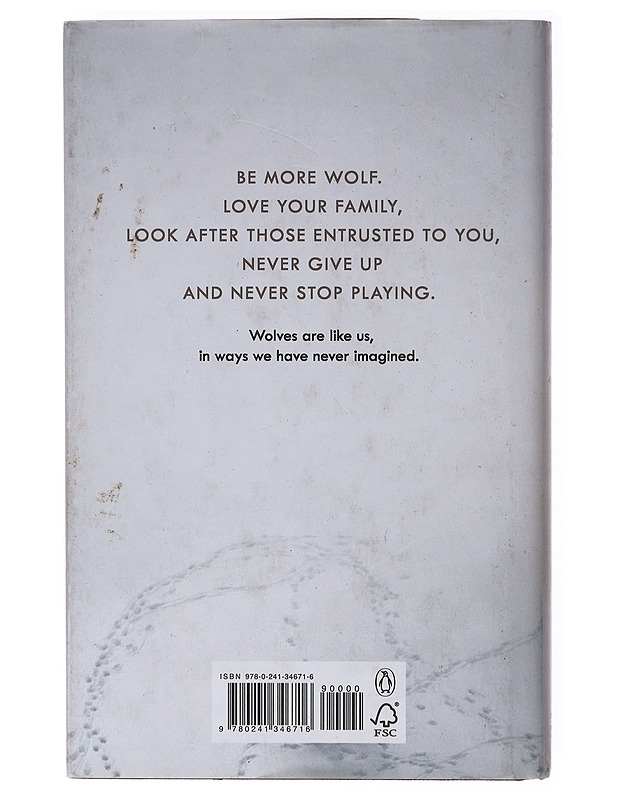 The wisdom of wolves -  Elli H. Radinger - Romaanit ja novellit - 10105635002 - 1