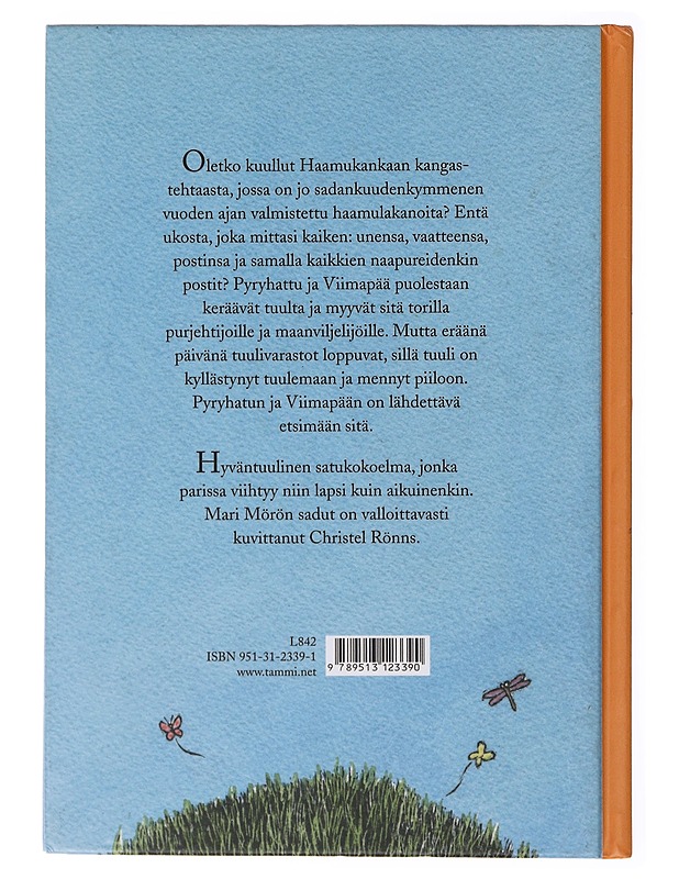 Pyryhattu ja viimapää - Mörö, Mari - Lastenkirjat - 10105635383 - 1