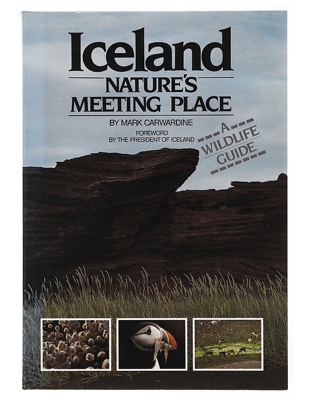 Iceland : Nature's Meeting Place - Mark Carwardine - Tietokirjat ja oppaat - 10105635439 - 0