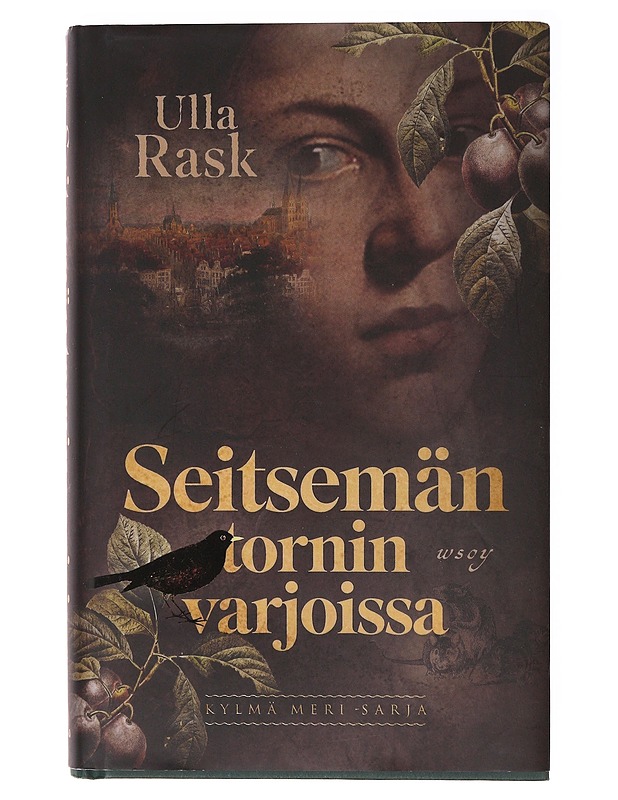 Seitsemän tornin varjoissa - Ulla Rask - Romaanit ja novellit - 10105635613 - 0