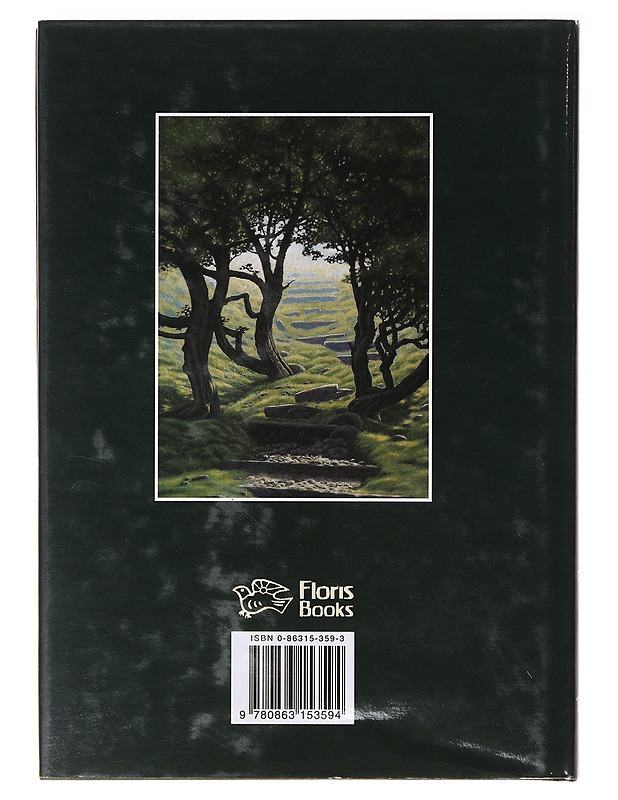 The Heritage of Trees: History - Fred Hageneder - Historiakirjat - 10105635768 - 1