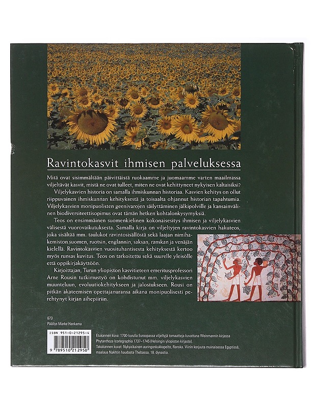 Auringonkukasta viiniköynnökseen - Arne Rousi - Tietokirjat ja oppaat - 10105635780 - 1