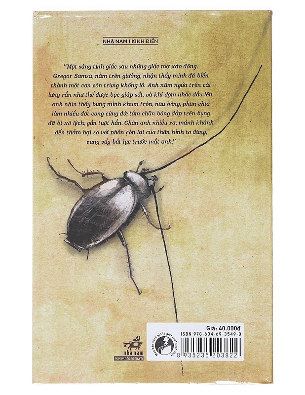 Hoa Than - Franz Kafka - Romaanit ja novellit - 10105635945 - 1