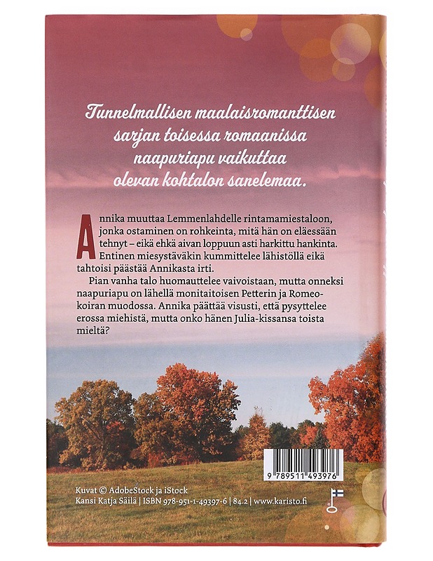 Syksyn sävyjä Lemmenlahdella - Tuuli Kivijoki - Romaanit ja novellit - 10105636269 - 1