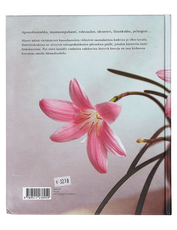 Hienohelma ja vanhapoika: rakkaat huonekasvit - Anu Ranta - Harrastekirjat - 10105636402 - 1