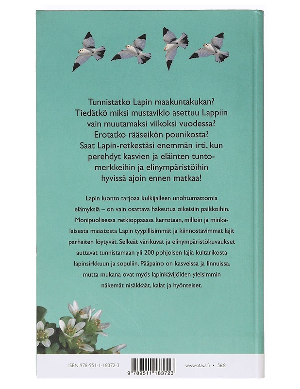 Lapin luonto-opas - Seppo Vuokko , Jorma Peiponen ,  Markus Varesvuo - Tietokirjat - 10105636427 - 1