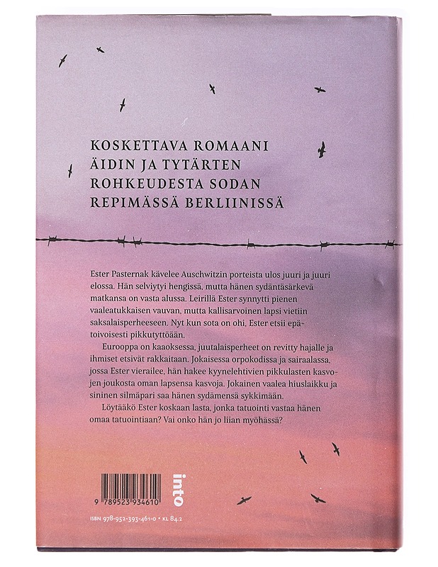 Auschwitzin kadonneet lapset - Stuart, Anna - Romaanit ja novellit - 10105636438 - 1