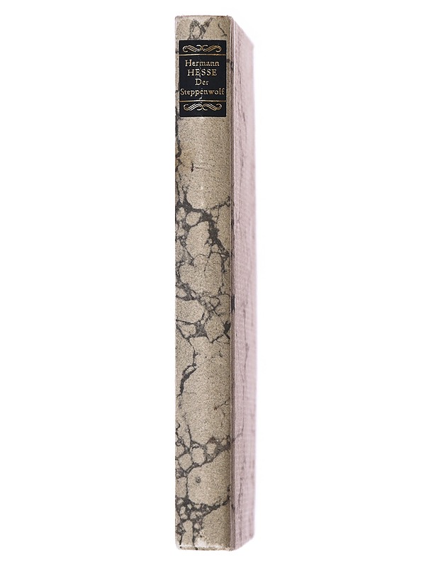 Der Steppenwolf - Hermann Hesse - Romaanit ja novellit - 10105636605 - 1