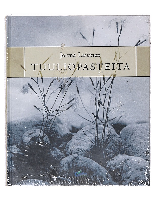 TUULIOPASTEITA - JORMA LAITINEN - Tietokirjat ja oppaat - 10105636637 - 0