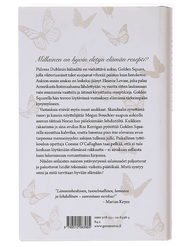 Onnen ainekset - Kelly, Cathy - Romaanit ja novellit - 10105637595 - 1