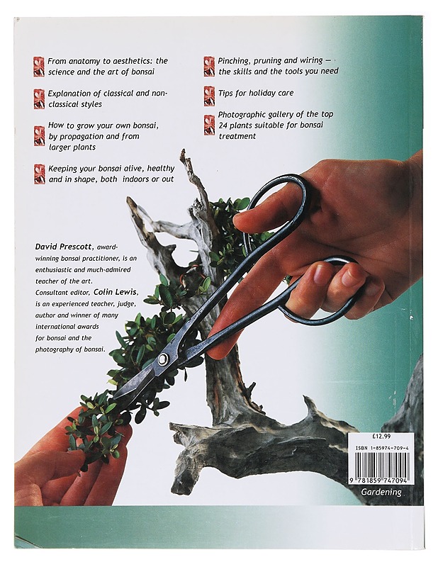 The bonsai handbook - Prescott, David - Tietokirjat ja oppaat - 10105637952 - 1