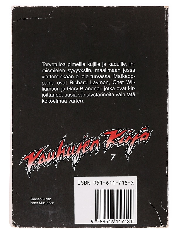 Kauhujen kirja. 7 - Salminen, Kari - Romaanit ja novellit - 10105639116 - 1