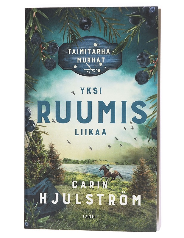 Yksi ruumis liikaa - Hjulström, Carin - Romaanit ja novellit - 10105639173 - 0