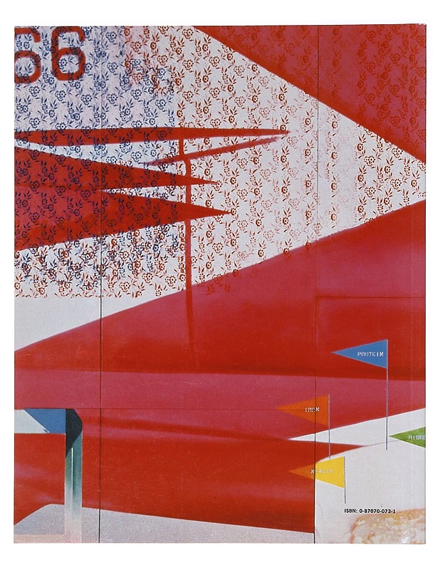 Pop Art Selections from The Museum of Modern Art - Anne Umland  - Tietokirjat - 10105639357 - 1