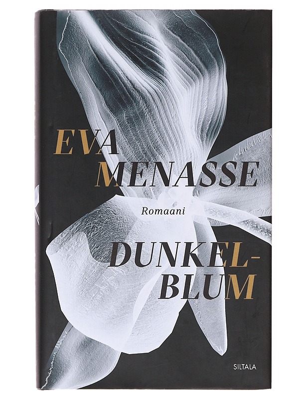 Dunkelblum / romaani - Menasse, Eva - Romaanit ja novellit - 10105639721 - 0