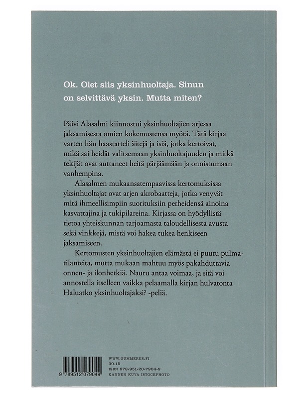 Loistava yksinhuoltajuus - Päivi Alasalmi - Tietokirjat - 10105640028 - 1