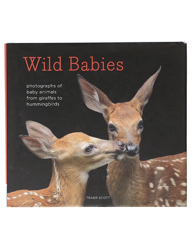 Wild Babies - Traer Scott - Tietokirjat ja oppaat - 10105640071 - 0
